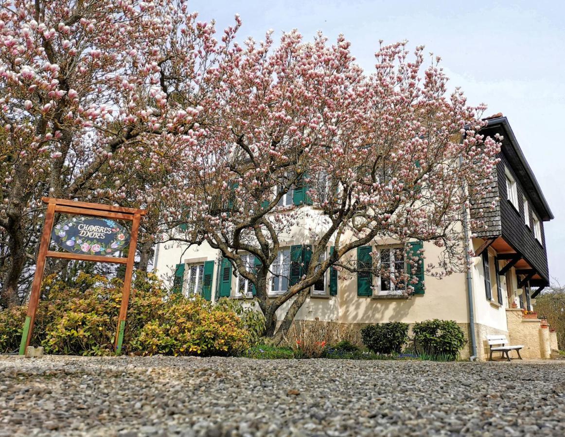 La Tirelire Bed & Breakfast Cosswiller Exterior photo
